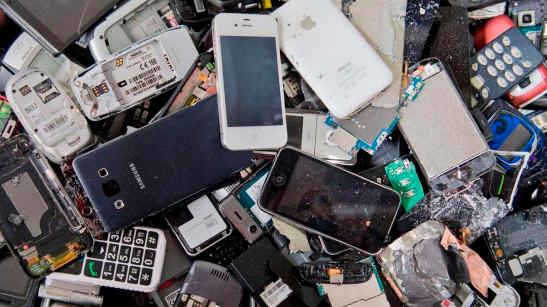 Circular Solutions worker managing discarded electronic equipment